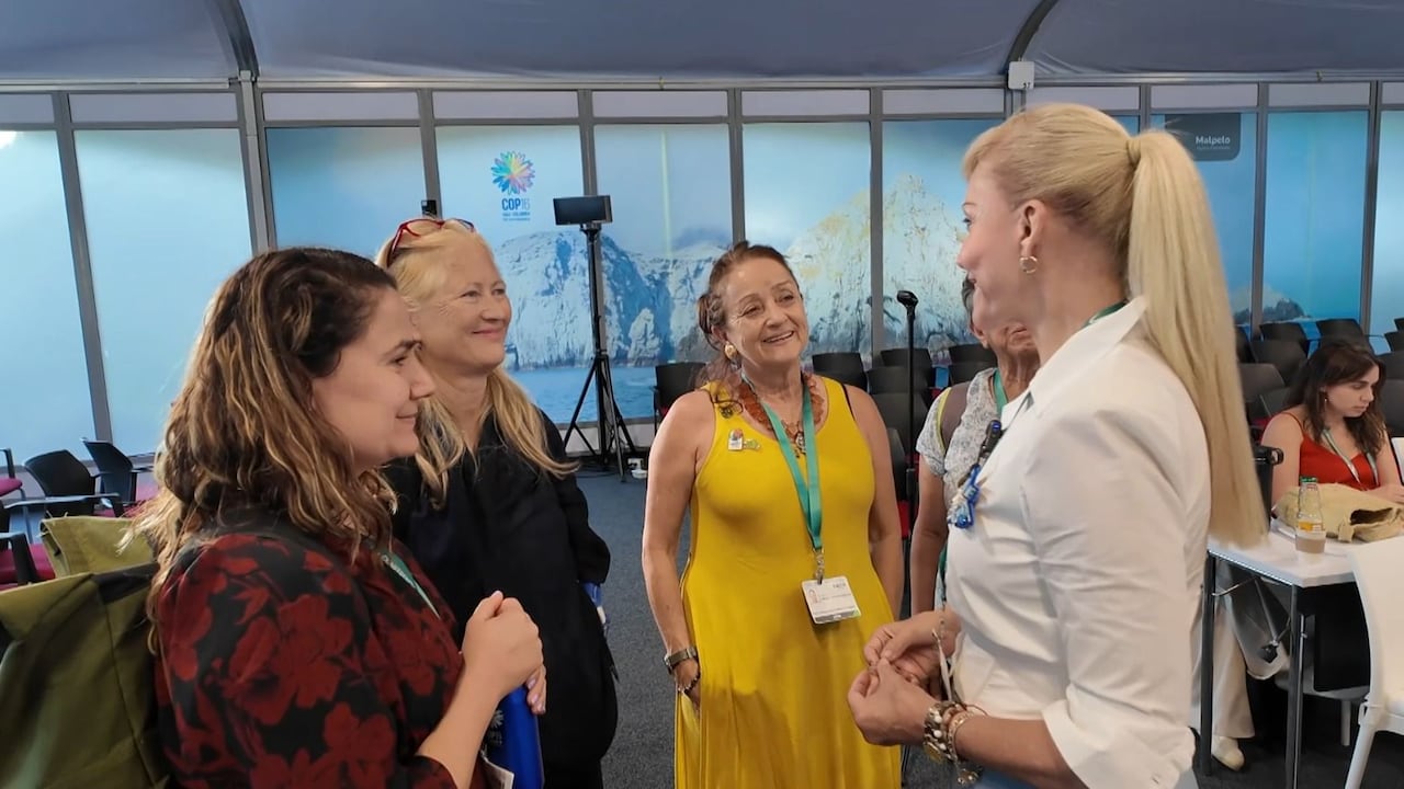 La Gobernación del Valle del Cauca viajará en los próximos días a Brasil para la COP30.