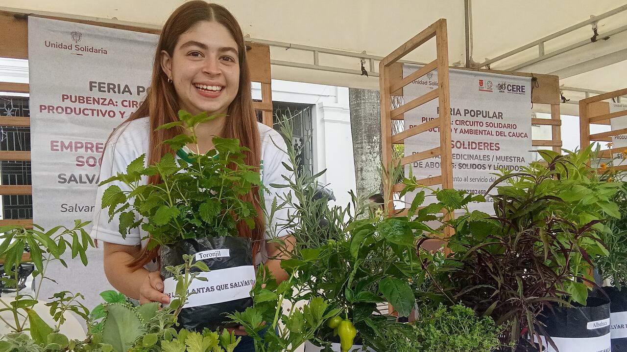 “Este proyecto se hizo con el fin de recuperar las plantas tradicionales que tenían antes nuestros padres para que no se pierda la tradición, además de fortalecer la medicina tradicional", expresó Luisa Fernanda Naranjo, una de las integrantes de la iniciativa Salvar plantas que salvan Vidas.