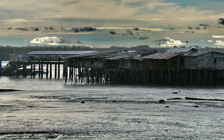Foro El País en Buenaventura