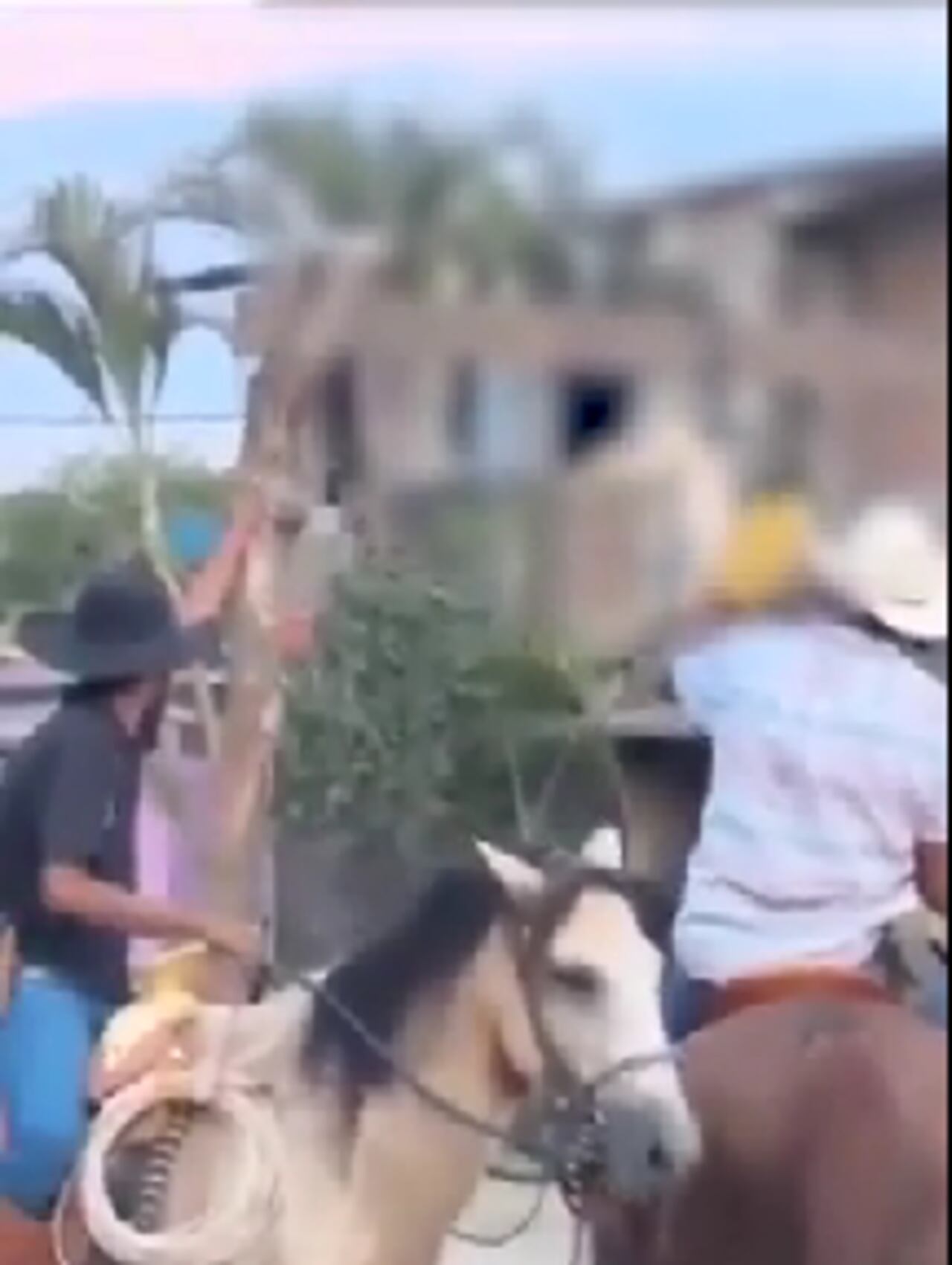 Varios jinetes eran los encargados de golpear al felino.