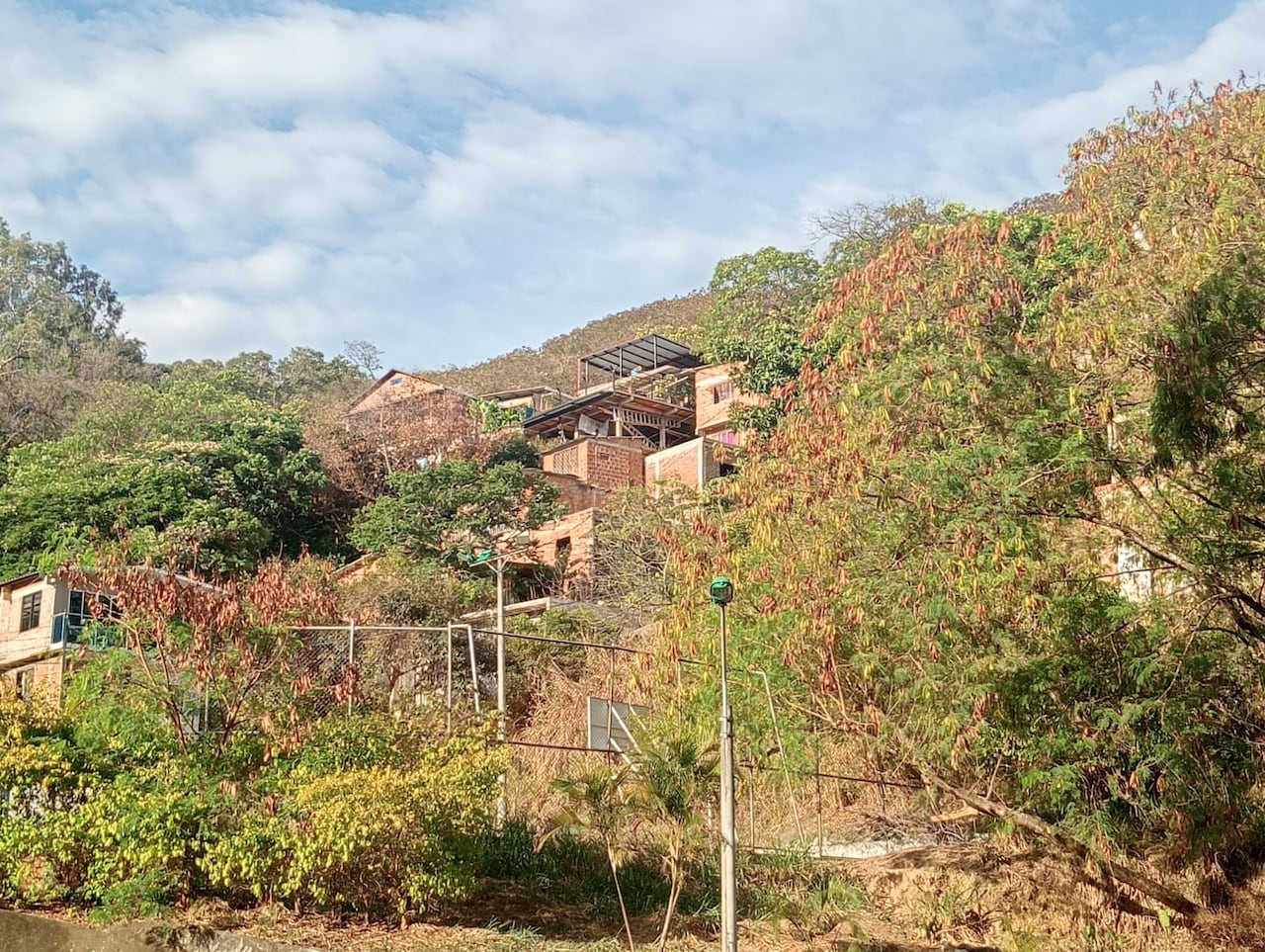 Este es el panorama de la ladera en Altos de Normandía, donde se observan viviendas de hasta tres pisos construidas sobre el terreno y nuevas edificaciones que, según la comunidad, continúan apareciendo en el sector.
