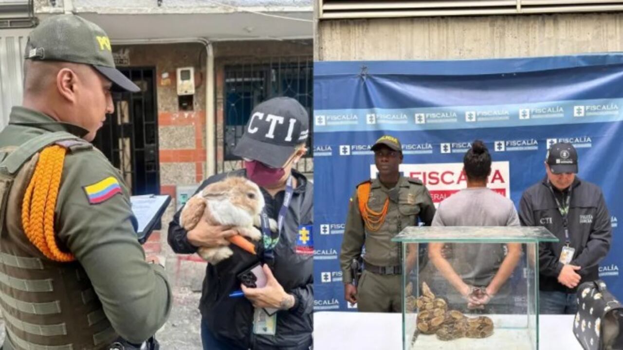 El hombre fue capturado con una serpiente y un conejo que tendría por objetivo serevirle de alimento.