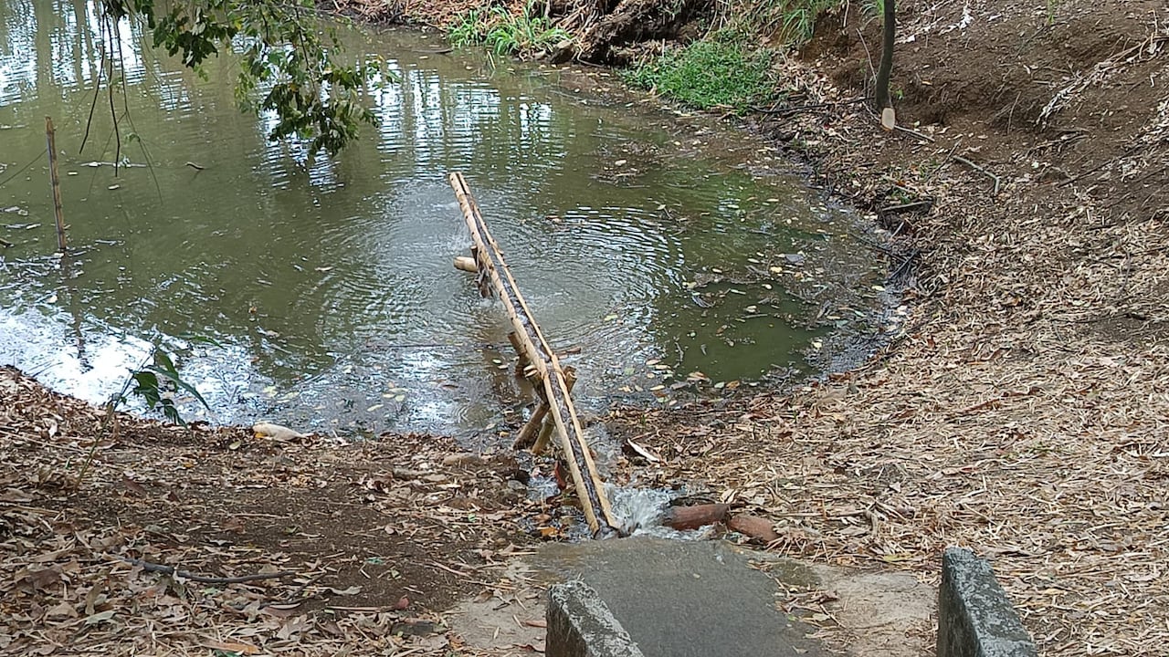 Funcionarios de la CVC descargan 44.000 litros de agua extraída de pozo autorizado para rehidratar el vaso del humedal El Limonar en la Comuna 17.