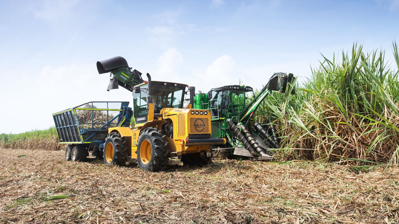 Incauca extiende la invitación a la comunidad para que reporten, a través de sus líneas de atención, cualquier incendio o actividad sospechosa que pueda afectar los cultivos y la seguridad de la región.