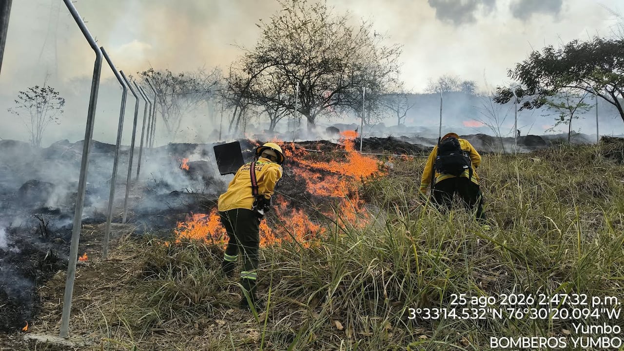 El incendio de cobertura vegetal se registra en la zona montañosa de Ciudad Guabinas, frente a la Unidad Peñón.