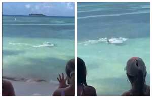 Así se vivió el tremendo susto que se llevaron propios y turistas en playa de San Andrés cuando, cerca a la orilla, un tiburón martillo atacó a una mantarraya. Autoridades piden mantener la calma en estos casos.