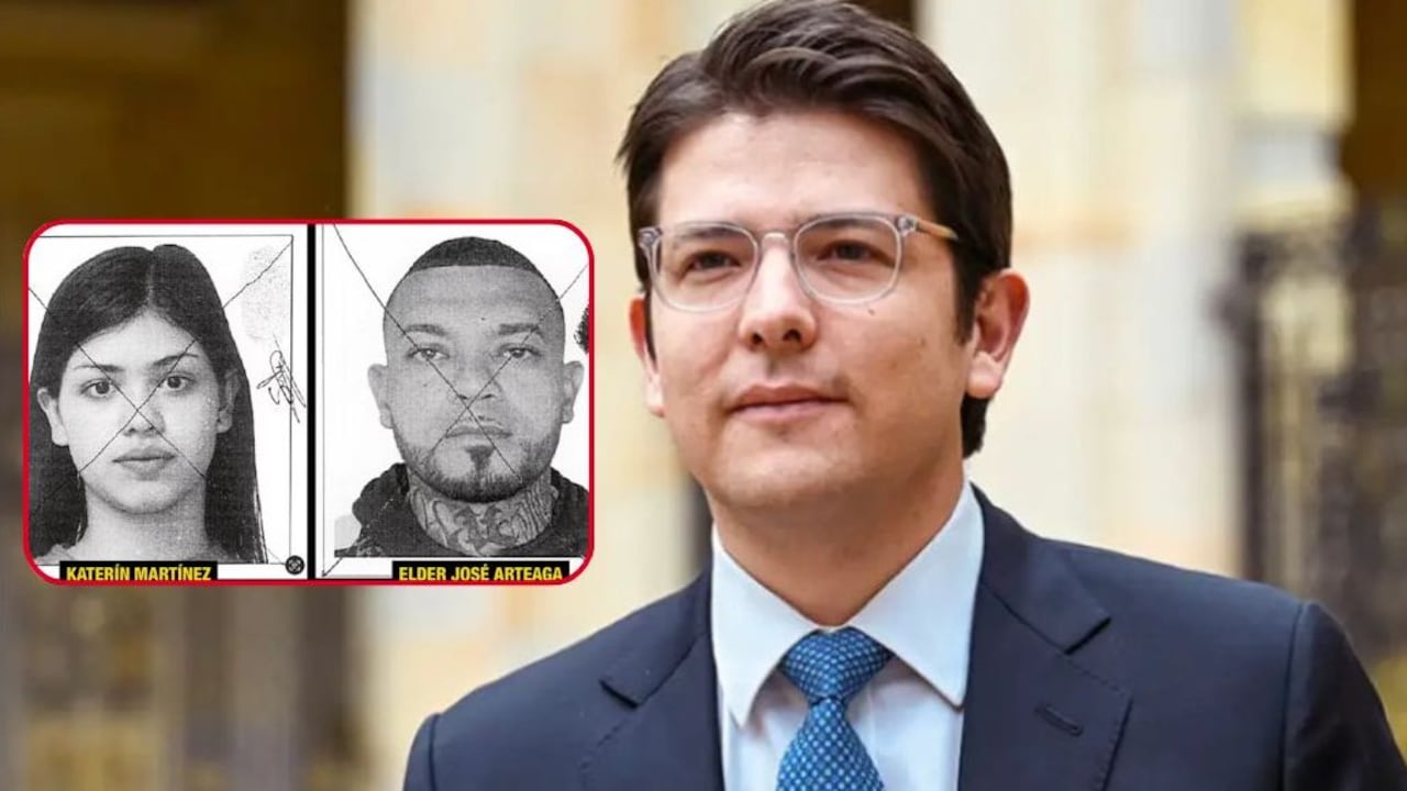 La joven entregó detalles sobre el pago que le ofrecieron, la protección que le daría una guerrilla y la ruta de escape del sicario.