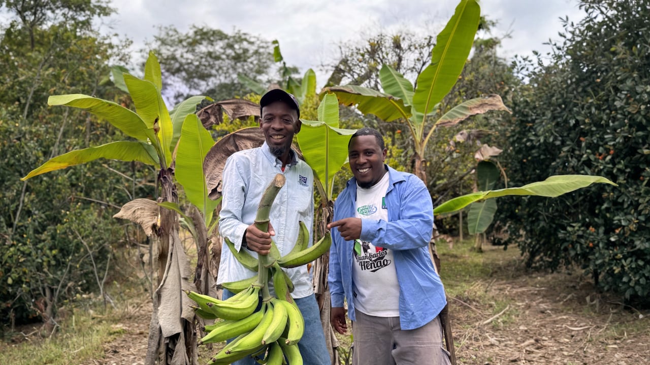 Integrantes de una comunidad rural muestran parte de la producción agrícola que acompaña varios de los 20 proyectos seleccionados.