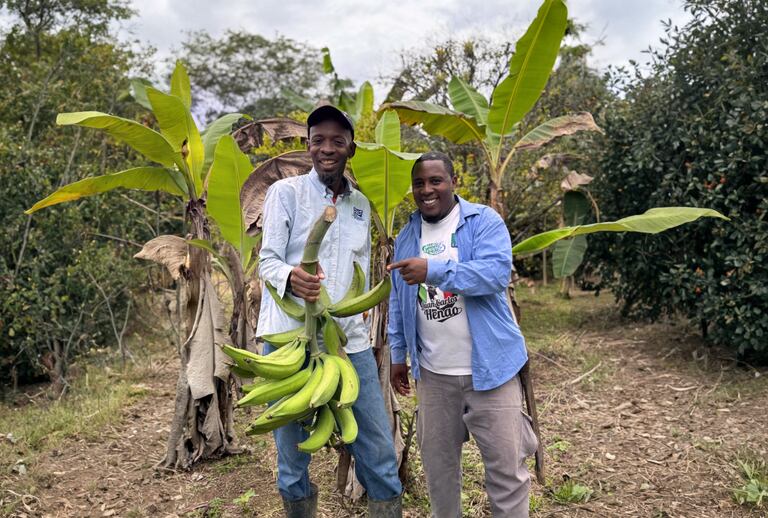 Integrantes de una comunidad rural muestran parte de la producción agrícola que acompaña varios de los 20 proyectos seleccionados.