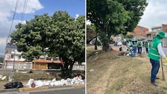 La intervención permitió retirar más de 1.000 toneladas de residuos acumulados en uno de los puntos críticos del corredor vial.