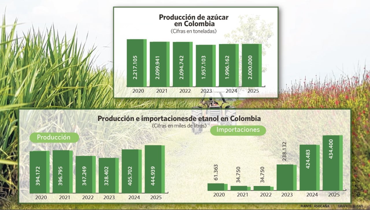 Producción de azúcar y etanol en Colombia, más importaciones del biocombustible.
