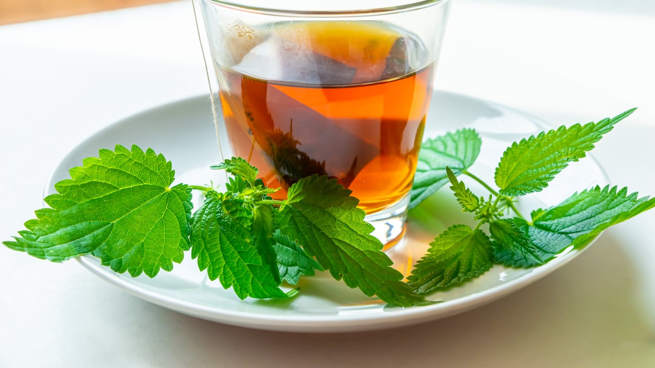 Té de ortiga