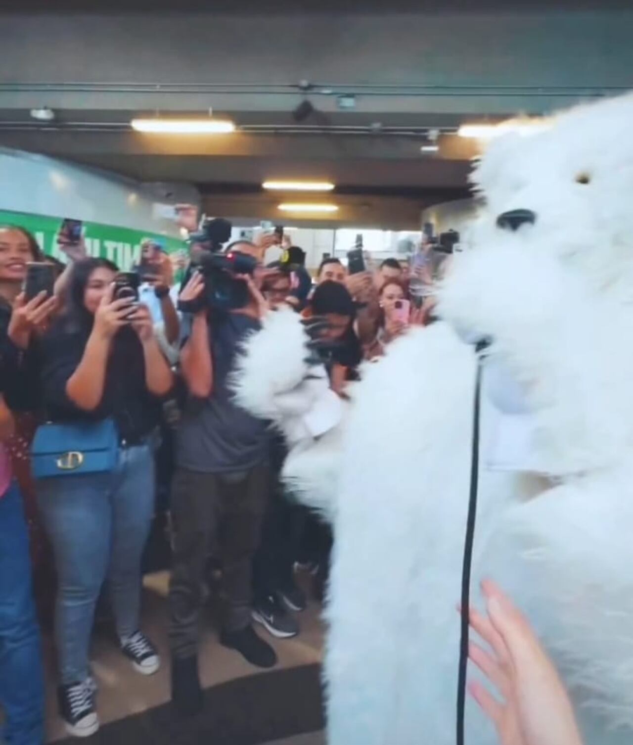 Juanes en el Metro de Medellín, vestido de oso.