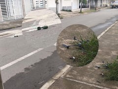 Las autoridades activaron el protocolo antiexplosivos luego de que un dron acondicionado con explosivos cayera en el barrio Limonar de Santander de Quilichao.