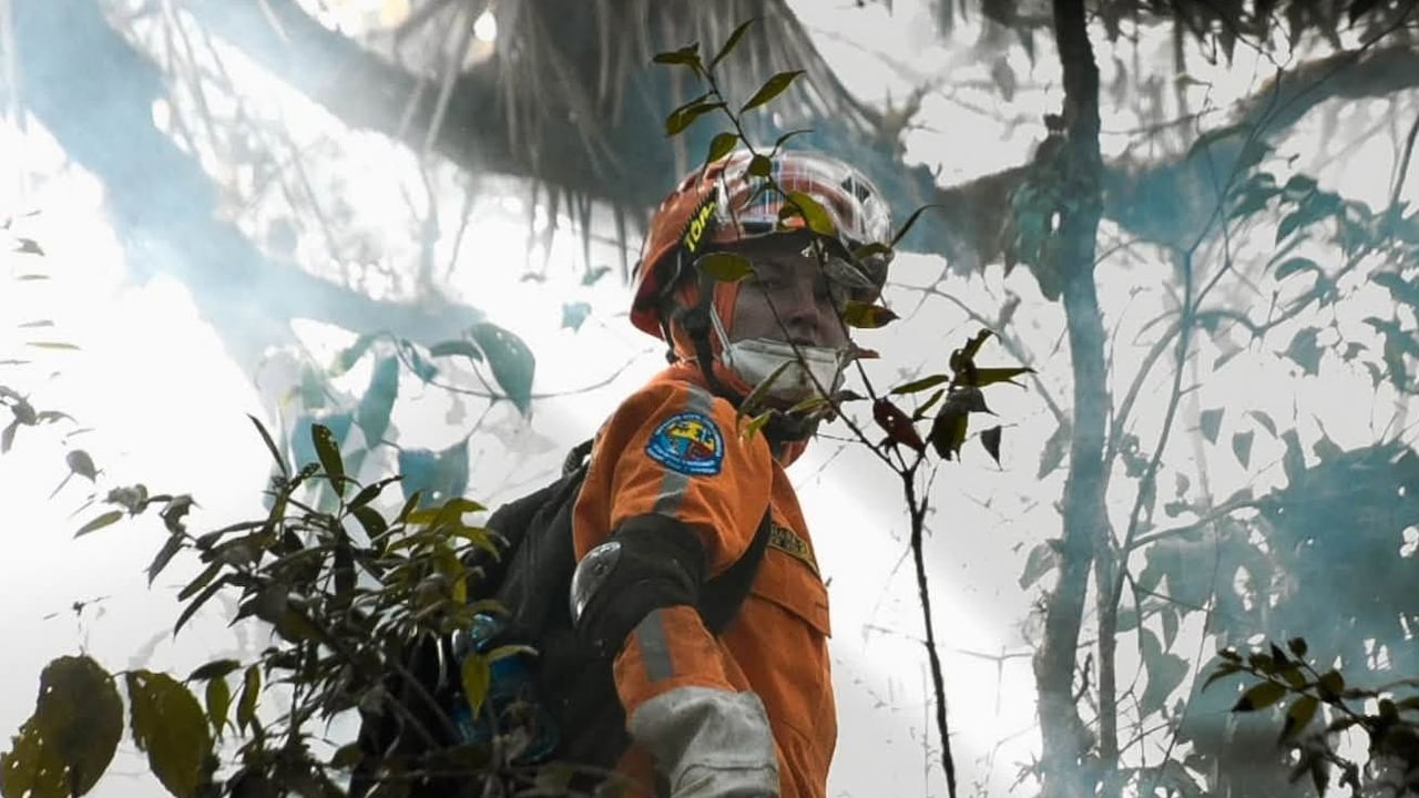 Según reportes del Dagran, en lo corrido del año se han presentado 77 incendios forestales en Antioquia, 20 de ellos solo en el mes de agosto.