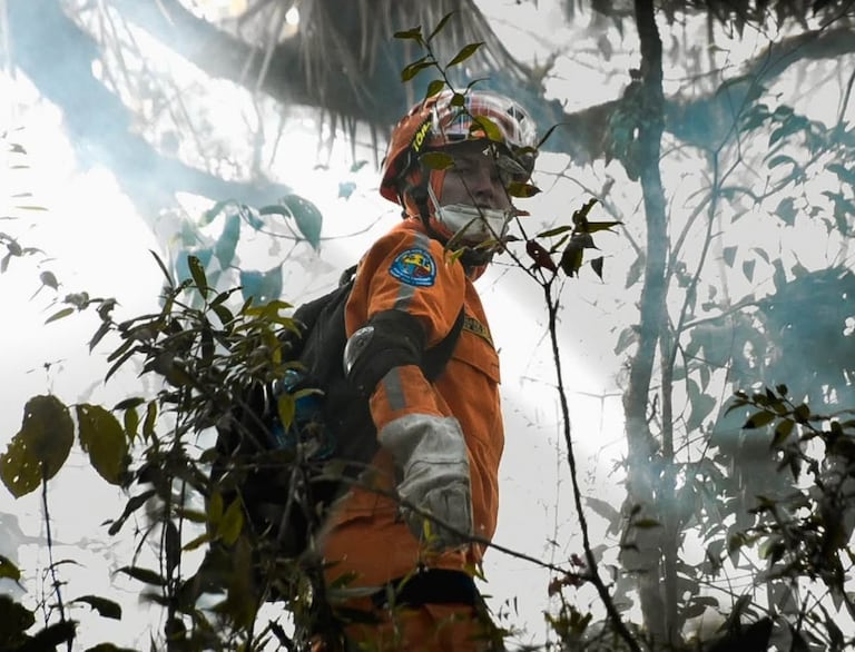 Según reportes del Dagran, en lo corrido del año se han presentado 77 incendios forestales en Antioquia, 20 de ellos solo en el mes de agosto.
