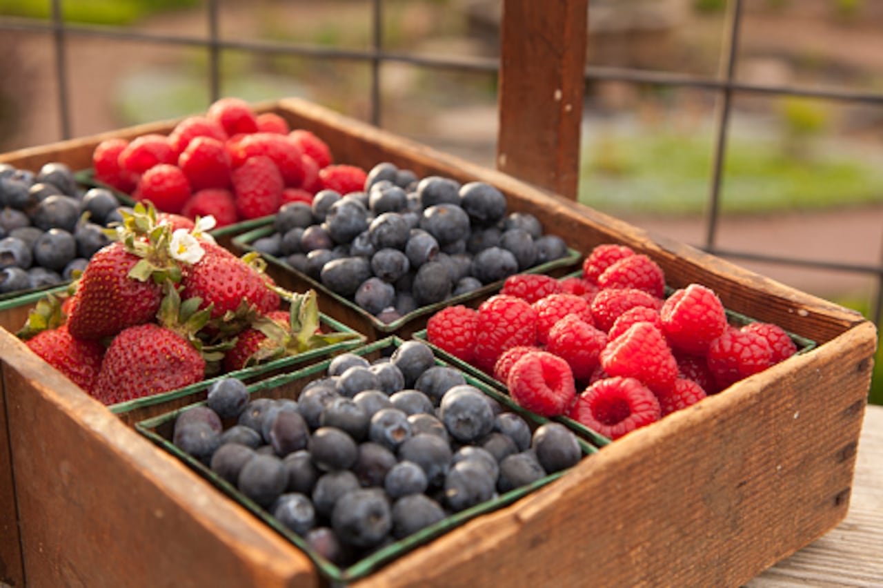 El arándano sirve para prevenir el alzhéimer y el párkinson.