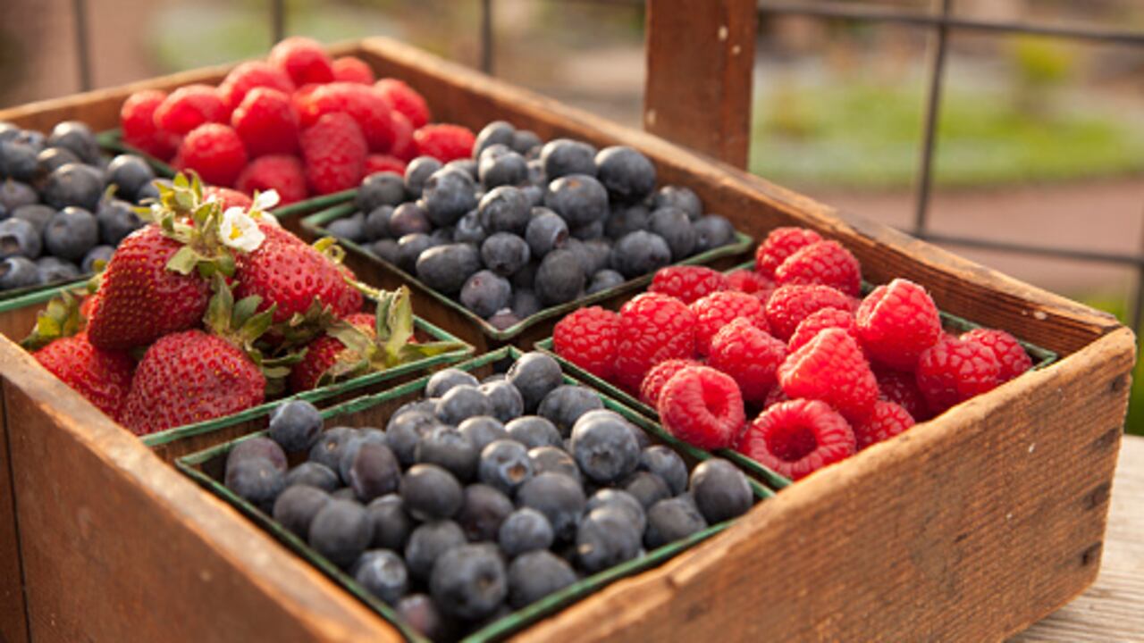 El arándano sirve para prevenir el alzhéimer y el párkinson.
