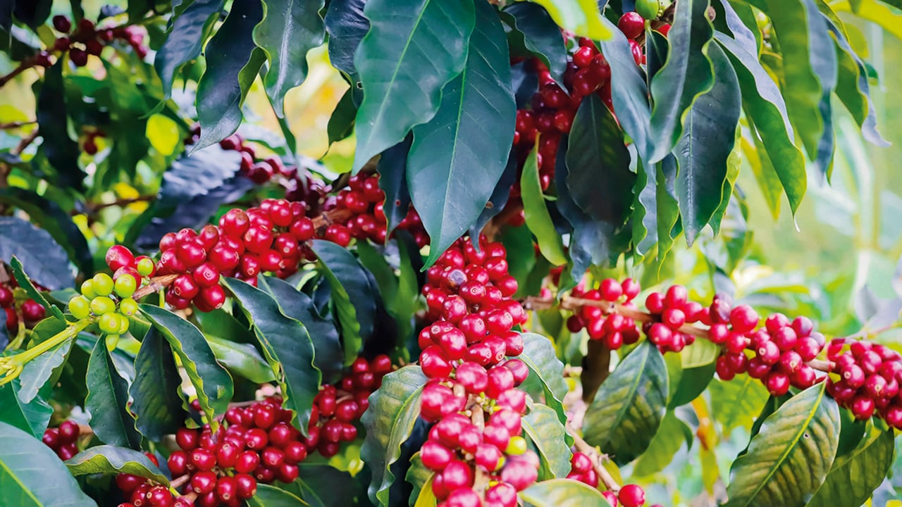 Turismo por Colombia.