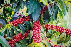 Turismo por Colombia.