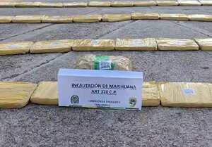 Esta clase de incautaciones es el resultado de la intensa guerra que libra la fuerza pública colombiana contra las disidencias de las Farc, al mando de alias Iván Mordisco.