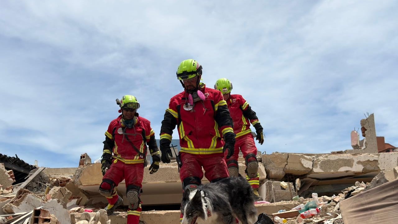 Los binomios caninos son uno de los recursos más efectivos para localizar sobrevivientes en estructuras colapsadas tras los terremotos en Venezuela.