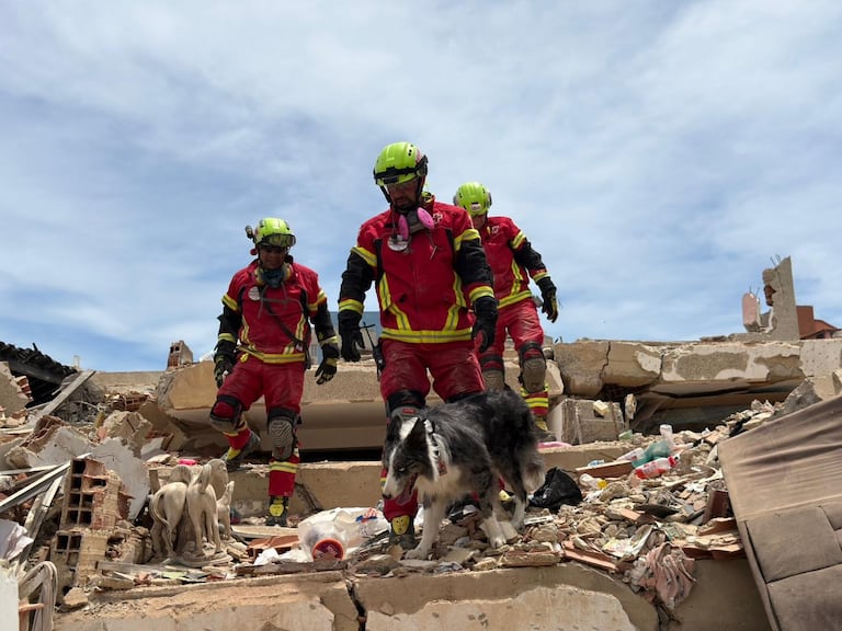 Los binomios caninos son uno de los recursos más efectivos para localizar sobrevivientes en estructuras colapsadas tras los terremotos en Venezuela.