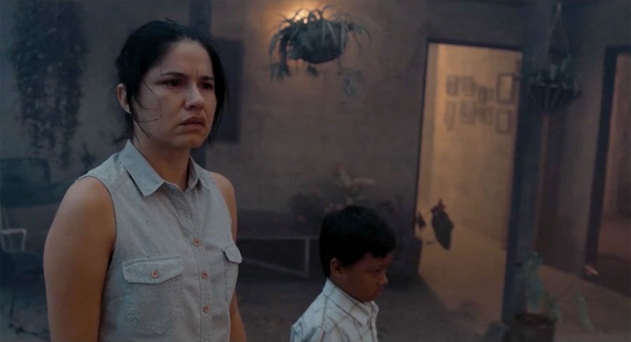 arleyda Soto, en La Tierra y la Sombra es Esperanza, esposa de Gerardo y madre de Manuel.Eje de resistencia y lucha: Lucha incansablemente por salvar a los suyos en medio de un entorno devastado y asfixiado por los monocultivos de la caña de azúcar en el Valle del Cauca. La película ganó Cámara de Oro en el Festival de Cannes en 2015.