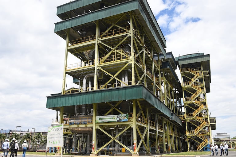 Ingenio Providencia, cultivos de caña, programas de sostenibilidad. Foto José L Guzmán. EL País.