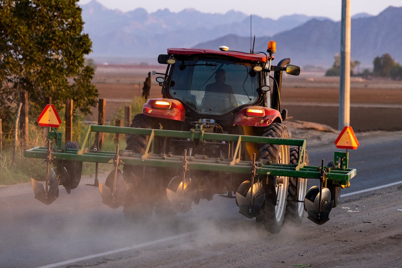 El trabajo sería en el sector agrícola