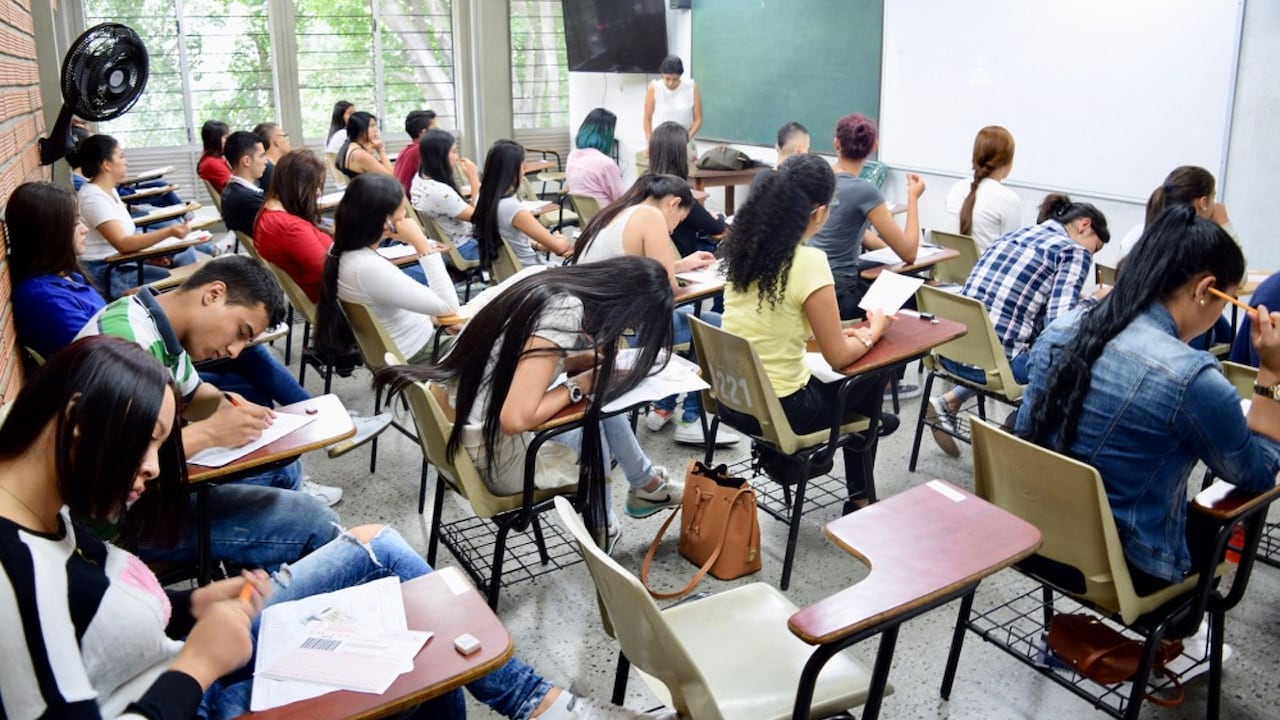 Docentes universitarios