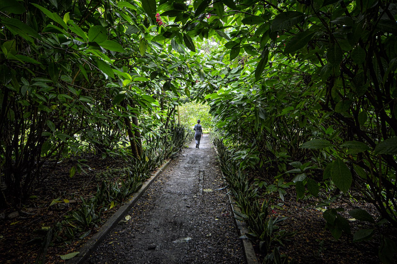 Reportaje gráfico. Humedales de Cali. Humedal Zanjón del Burro