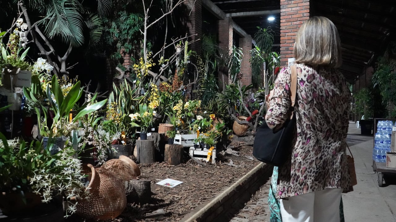 El Orquideorama Enrique Pérez Arbeláez será escenario del Festival Cultural Las Chelas y de la jornada Museo Vivo a Cielo Abierto, dos actividades para promover el patrimonio natural de Cali.
