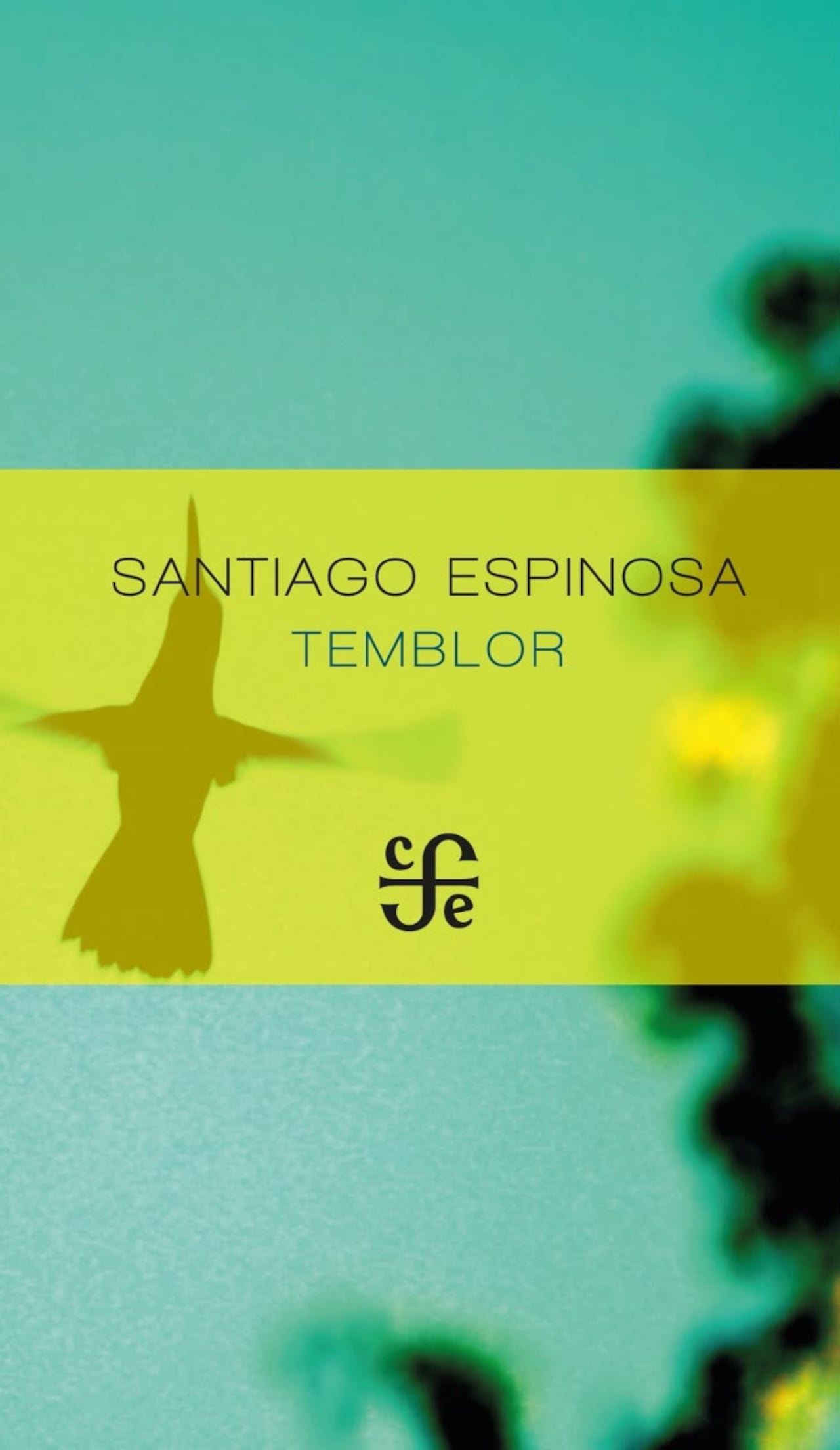 Santiago Espinosa