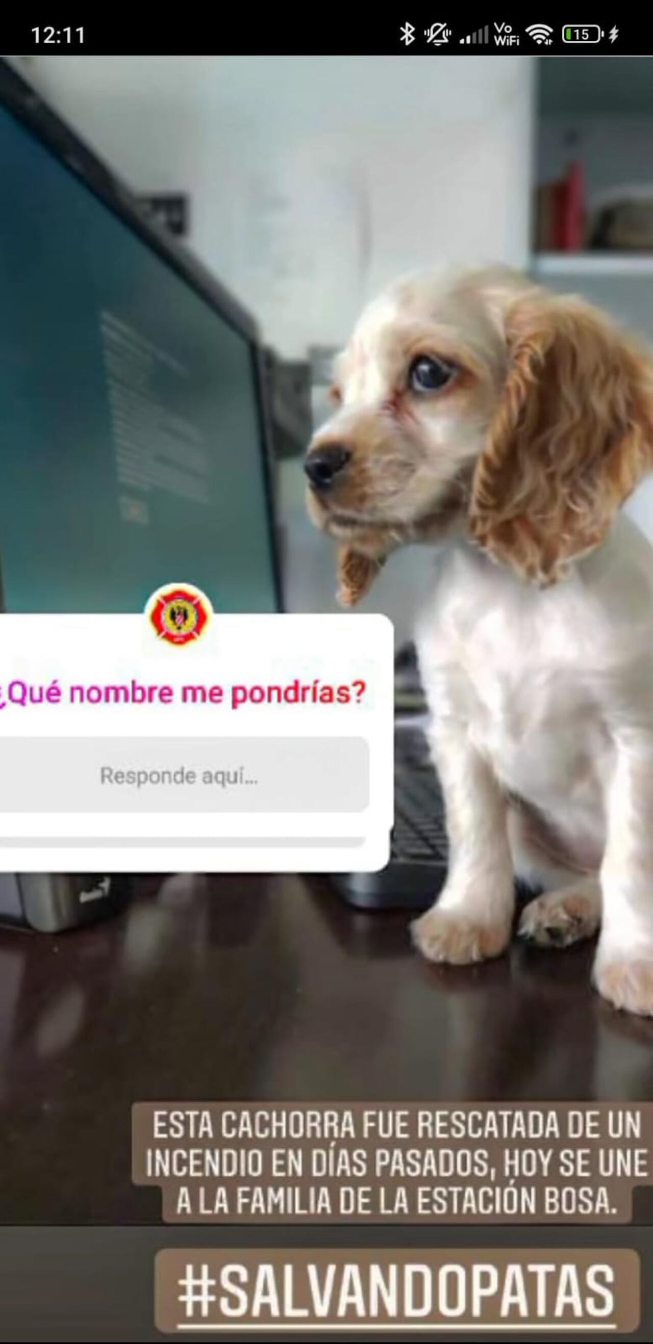 Los seguidores de las redes sociales de los bomberos de Bogotá fueron los que escogieron el nombre de Mara.