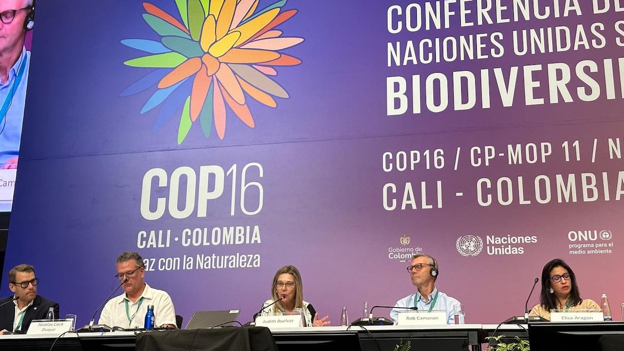 Durante la COP16, Judith Buelvas, directora país de Veolia para Colombia y Panamá, participó como panelista en el ‘Foro Empresas y Biodiversidad: Diálogo de liderazgo’, junto con Rob Cameron, VP & GlobalHead of ESG, Nestle; Nicolas Dock Duque, CEO Ecoflora Cares, y Elisa Arangon, CEO, Nelixia.