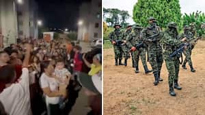 disidencias de las farc