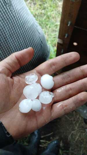 De este tamaño fueron las bolas de granizo que cayeron en varios barrios de la comuna dos, al norte de la Ciudad Blanca.