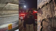Abejas en el Coliseo del Pueblo