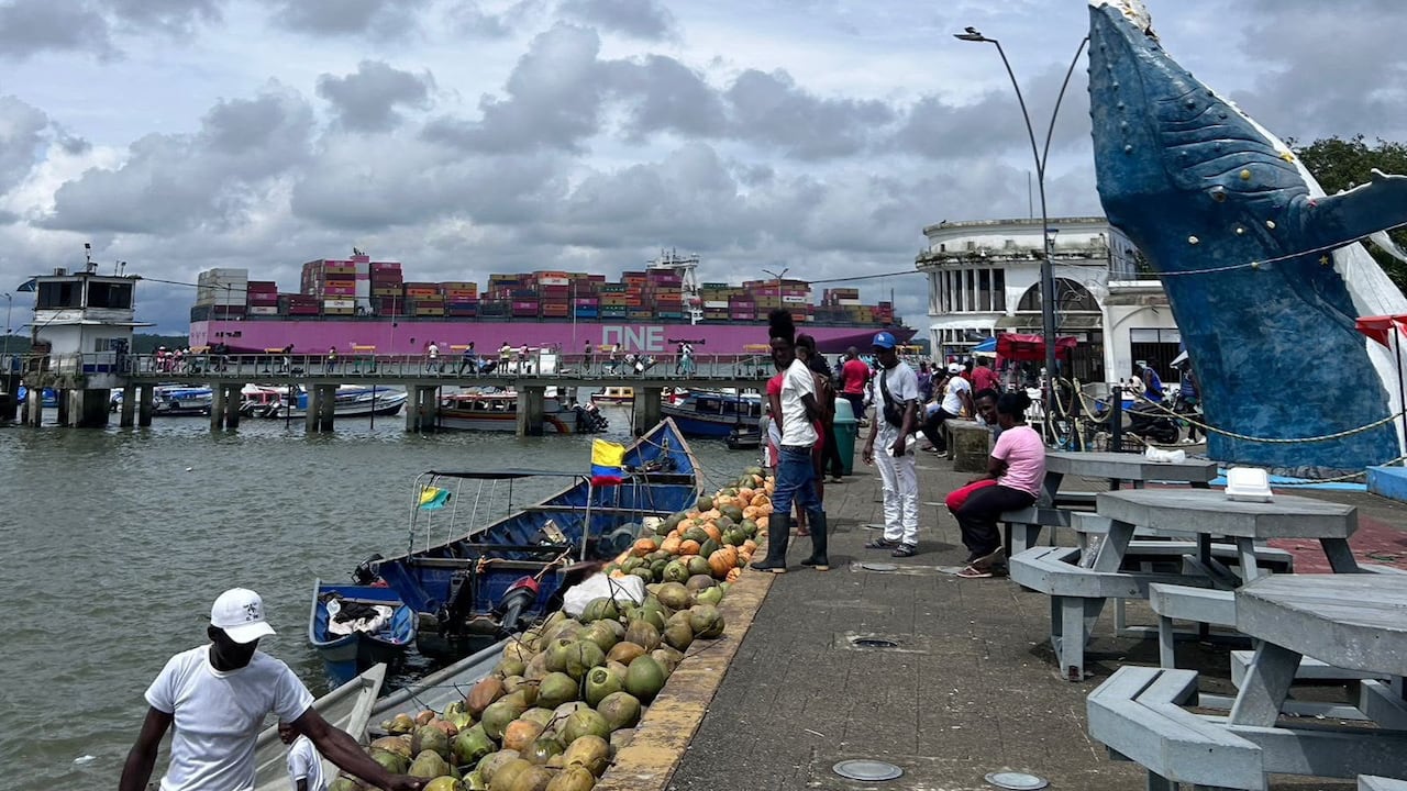 Buenaventura se destaca como un gran punto de turismo gracias a su impresionante riqueza natural, su biodiversidad única y su profunda herencia cultural en el Pacífico colombiano.