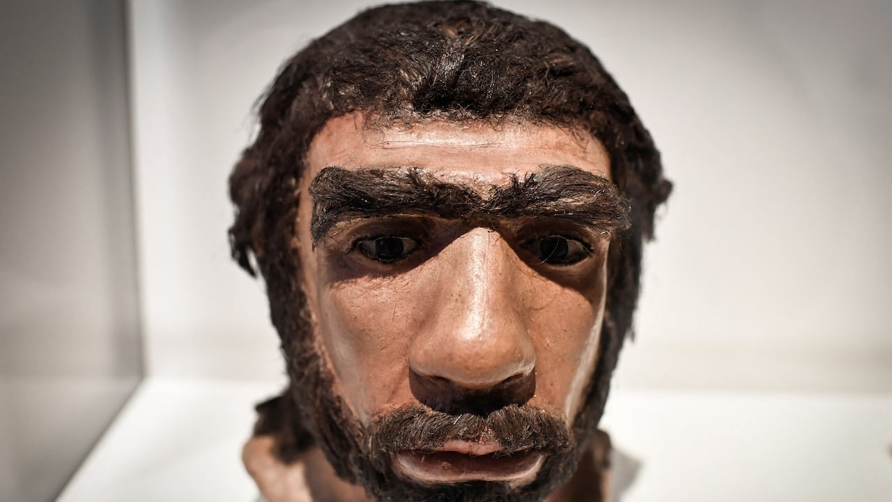Neandertal