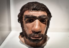 Neandertal