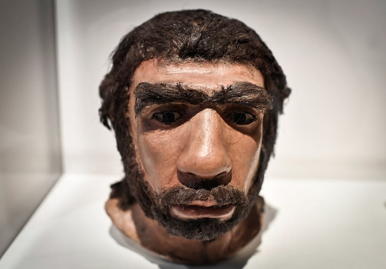 Neandertal