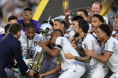 Botafogo venció a Atlético Mineiro y se consagró campeón de la Copa Libertadores.