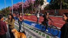Render de la Avenida Roosevelt en Cali