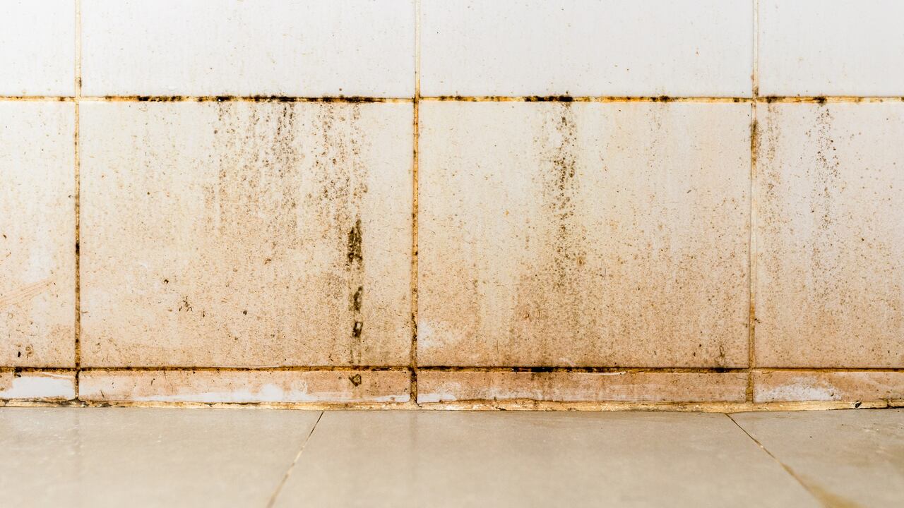 La limpieza regular de los orificios de la ducha puede prevenir problemas de presión de agua; aquí se presentan consejos prácticos para eliminar el moho y el óxido pegado.