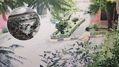 El video registra el momento en que una piedra impacta el vehículo de un residente que salía de su unidad residencial en Santa Anita.