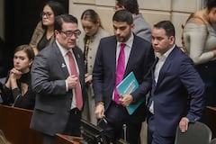 Comisiones primeras conjuntas,
Iván Cancino, ministro de Justicia