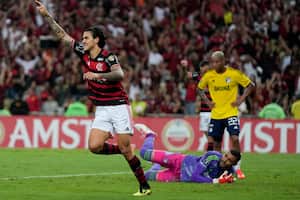 Pedro of Brazil's Flamengo celebrates after Juan Vargas of Colombia's Millonarios scored an own goal during a Copa Libertadores Group E soccer match at Maracana stadium in Rio de Janeiro, Brazil, Tuesday, May 28, 2024. (AP Photo/Silvia Izquierdo)
