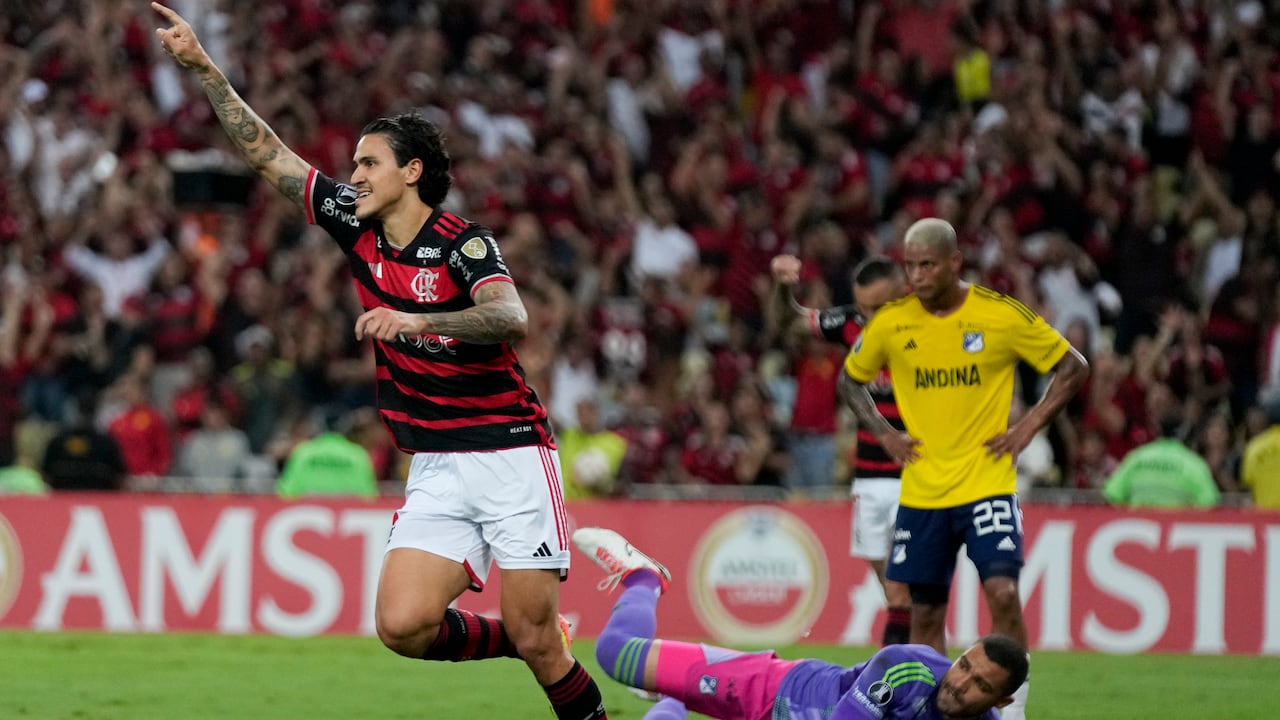 Flamengo vs Millonarios - fecha 6 grupo E - Copa Libertadores.